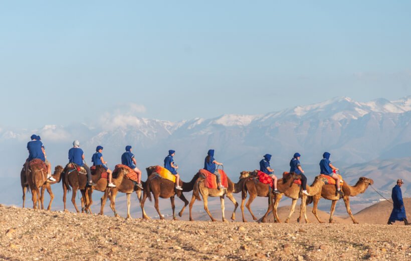 Balade en Dromadaire à Agafay